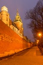 Wawel Royal castle