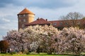Wawel Royal Castle in flowers Royalty Free Stock Photo