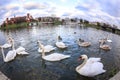 Wawel royal castle and swams on Wisla river, Poland