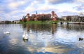 Wawel royal castle and swams on Wisla river, Poland