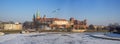 Wawel winter panorama with a seagull Royalty Free Stock Photo