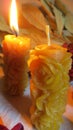 Wax candles in a simple composition, one candle is burning