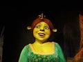 Wax figure of Fiona from the Shrek movie, at Madame Tussauds, Amsterdam. Royalty Free Stock Photo