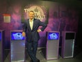 Wax figure of Patrick Joseph `Paddy` McGuinness.