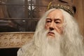 Albus Percival Wulfric Brian Dumbledore - fictional character