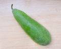 Wax gourd Royalty Free Stock Photo