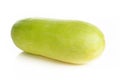 Wax gourd