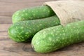 Wax squash gourd Royalty Free Stock Photo