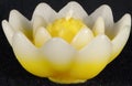 Statuette, sculpture of a fabulous water Lotus flower.