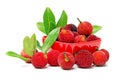 Waxberry ( red bayberry ) Royalty Free Stock Photo