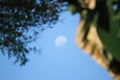 A waxing gibbous daytime moon in the evening sky Royalty Free Stock Photo