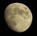 Waxing gibbous june moon Royalty Free Stock Photo