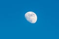 Waxing gibbous moon Royalty Free Stock Photo