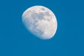 Waxing gibbous moon closeup Royalty Free Stock Photo