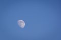 Waxing gibbous moon during daylight hours Royalty Free Stock Photo
