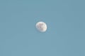 Waxing Gibbous Moon in Daytime Royalty Free Stock Photo