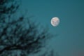 Waxing moon on a clear night sky in New Zealand Royalty Free Stock Photo