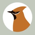 Waxwings vector illustration flat style Royalty Free Stock Photo