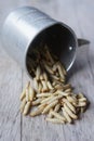 Waxworms in a measuring cup Royalty Free Stock Photo
