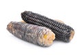 Waxy corn, tropical plants isolated on white Royalty Free Stock Photo