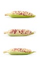 Waxy corns collection isolated on white background with clipping path, side view