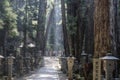 Way through  Okunoin cemetery at Koyasan, Japan. Royalty Free Stock Photo