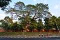 On the way from Boyoke market to Shwedagon Pagoda