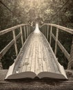 Way by the bridge in a forest on the pages of book, vintage Royalty Free Stock Photo