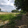 This is The Way Chaura to bhaura Village Kerakat India