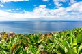 On the way on the city levadas of Funchal with a fantastic view on the Atlantic Ocean Royalty Free Stock Photo