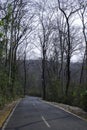 The way down the hill with trees on either side