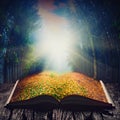 Way through the fairytale forest on the book Royalty Free Stock Photo