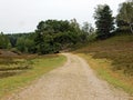 The way forward through heathlands Royalty Free Stock Photo