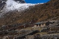 Way between the Gokyo and Machhermo Royalty Free Stock Photo