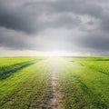 Way of Grass Grass fields and rainclouds Royalty Free Stock Photo