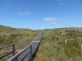 Wooden way through dunes on Sylt island