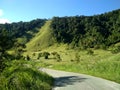 WAY BESIDE GREEN FOREST HILL PAPUA INDONESIA