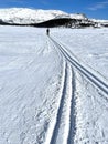 Winter activity - Cross country ski track near to Bessheimen in Jotunheim, Norway