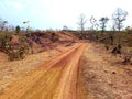 Way through jungle, satpura india Royalty Free Stock Photo