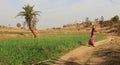 Way Of Life India Woman Carrying Milk Pot On Her Head