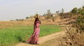 Way Of Life India Woman Carrying Milk Pot On Her Head