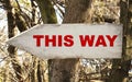 Weathered wooden signpost on a tree in the forest with this way message