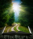 Way through the forest on the book Royalty Free Stock Photo