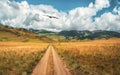 Way through mountains. Trekking mountain trail. Bright atmospheric minimalist alpine landscape with stony footpath among grasses