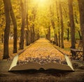 The way through the park on the pages of book Royalty Free Stock Photo