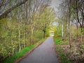 Way through the park