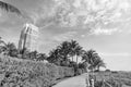 way path alley. photo of way with destination concept. summer way with palms. empty road way outdoor