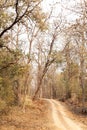 A way through Pench tiger reserve forest