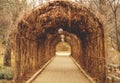 The way pergola arch, archway, in autumn