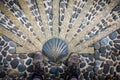 The way of saint James or compostelle . well worn Walking shoes with scallop shell.Nasbinals Lozere,France